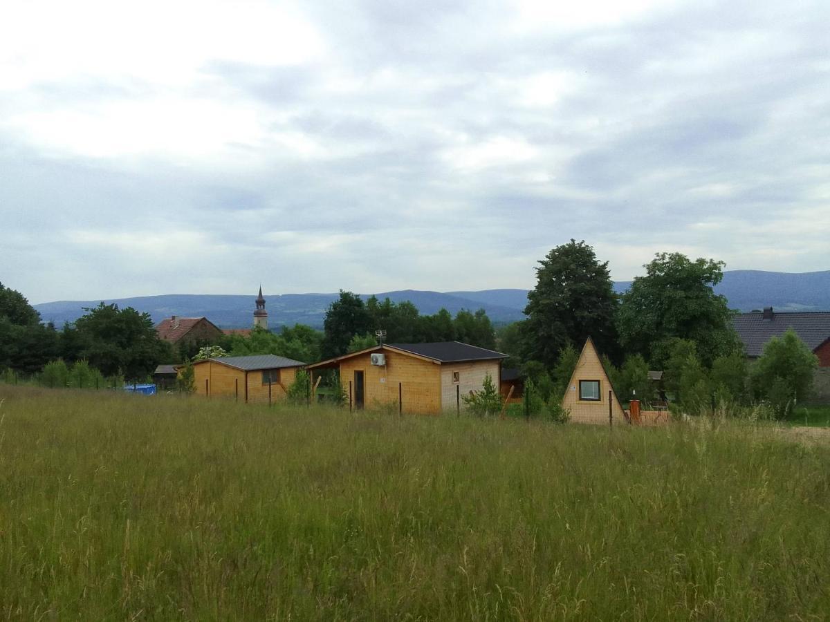 Szalas W Gorach Izerskich, Blisko Swieradow Zdroj I Zamek Czocha, Agroturystyka, Ogrzewanie, Klimatyzacja , Plac Zabaw, Ognisko Z Rusztem I Kijkami, Zywe Zwierzeta, Latem Basen Mirsk Eksteriør billede